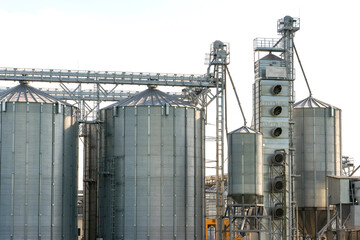 silver silos on agro manufacturing plant for processing drying cleaning and storage of agricultural products, flour, cereals and grain. Large iron barrels of grain. Granary elevator