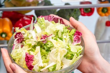 Fridge frozen ingredient meal nature, salad.
