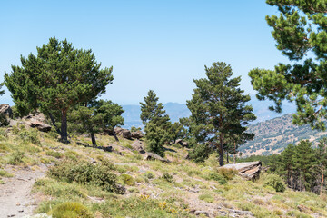 Mountainous landscape in Sierra Nevada in southern Spain