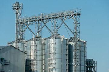 silver silos on agro manufacturing plant for processing drying cleaning and storage of agricultural products, flour, cereals and grain. Large iron barrels of grain. Granary elevator