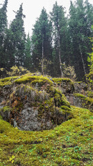 Mountains of Zailiyskiy Alatau, gorges and coniferous forests
