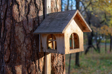 birdhouse on a tree with birds. autumn forest. Photo taken with selective focus and noise effect