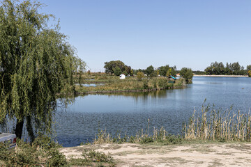 Lake, reeds and wild ducks