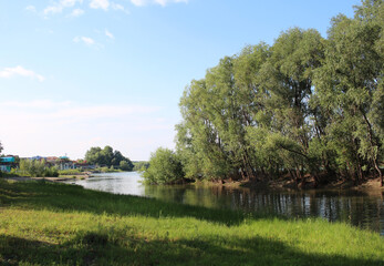 Fototapeta premium river Bank with Bay green trees by the lake in summer