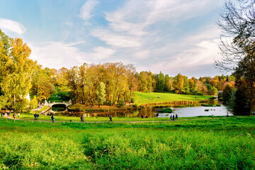 Beautiful autumn landscape with yellow trees and sun.