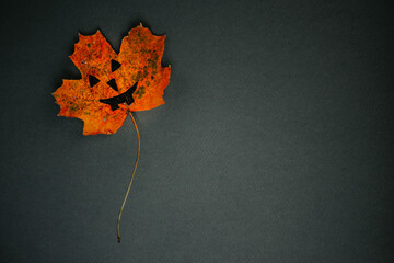 Maple leaf with painted face as decoration for Halloween holiday. Creative concept. Copy space.