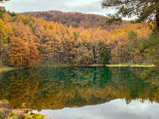 茅野市　御射鹿池
