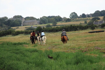 Randonnée à cheval