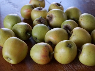 Frisch geerntete kleine grüne Äpfel