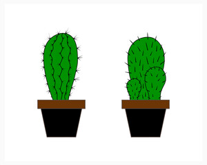 Doodle cactus collection icon isolated on white. Hand drawing home flowers. Vector stock illustration. EPS 10