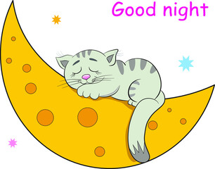 Cute cat sleeping on the moon