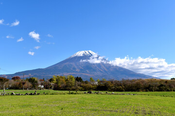 朝霧高原から見える秋の富士山