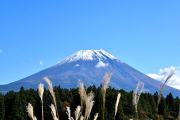 朝霧高原から見える秋の富士山
