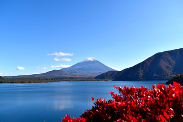 本栖湖から見える秋の富士山