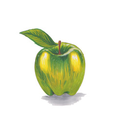 Marker hand drawn sketch of bright green apple isolated on white background. Bright colorful food illustration. Use for juice package, t-shirt print, restaurant menu decoration. Healthy food element.