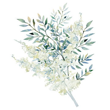 Watercolor winter eucalyptus branches and leaves, pampas grass. Hand painted navy blue wild floral bouquet for wedding invintation, bridal card, greeting card, baby shower card.