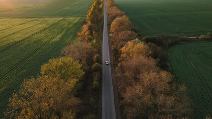 Aerial view Electric Car Driving on Country Road. Luxury modern vehicle riding fast along trees and...