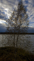 sunset over the river