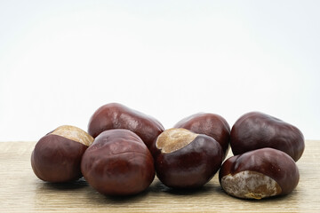 Close up of broken horse chestnut, Aesculus hippocastanum isolated on white background and full depth of field