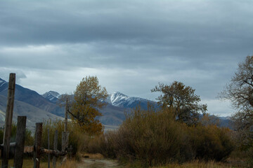Obraz premium clouds in the forest