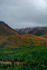 Obraz premium landscape of the mountains