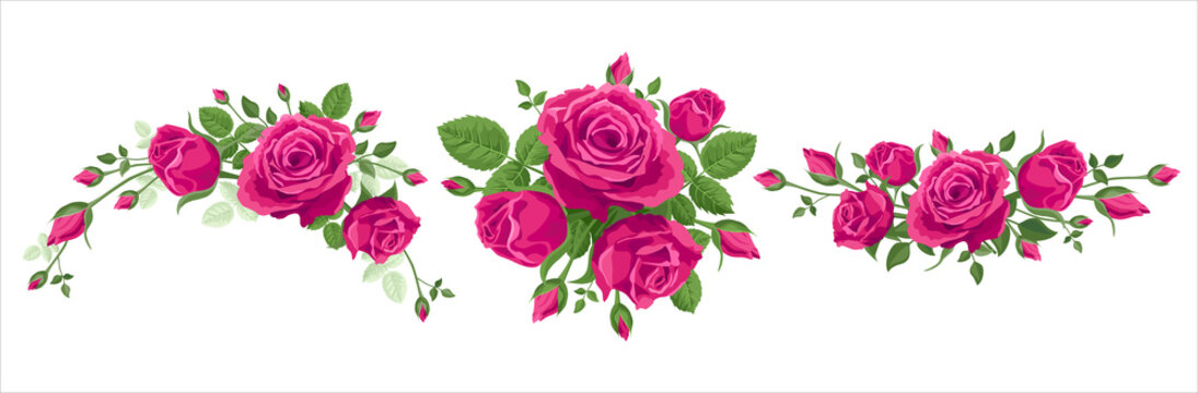 Set of bouquet of roses. Vector illustration, 3 bouquets of pink roses on a white background with leaves. Wreath, garland, border, bunch of beautiful flowers. Hot pink, burgundy, Ruby red colors.