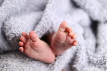 newborn baby's feet in a fluffy blanket
