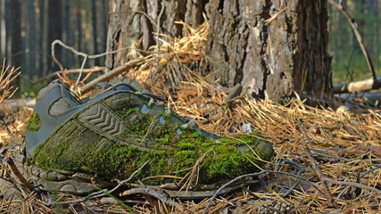 Old shoes covered with moss in the forest