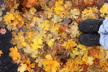 feet in sneakers stand on the autumn sidewalk, leaves in a puddle. The view from the top