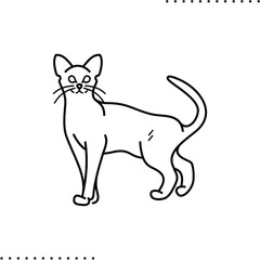 Abyssinian cat breed vector icon in outlines