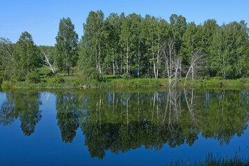 summer landscape of river and forest in the middle of summer