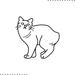 Manx cat breed vector icon in outlines