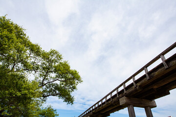 蓬莱橋