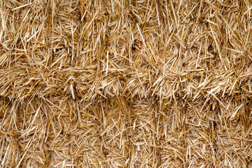 The pressed straw texture and background