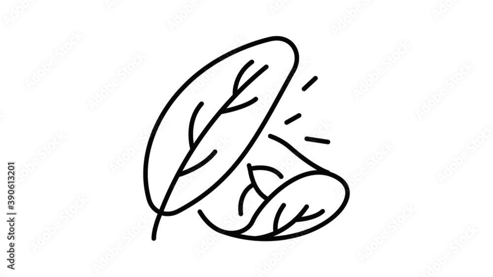 Poster spinach icon animation. motion set of best icons and then each objects is shown separately