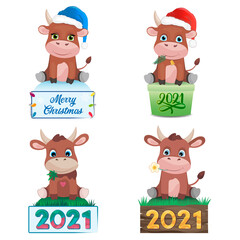 Cute illustration сhristmas set cows. Symbol of 2021. Flat cartoon vector illustration