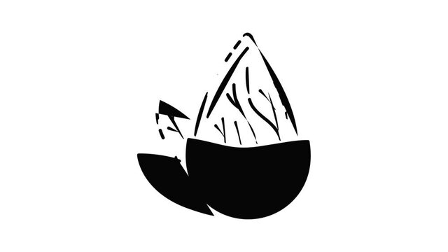 Almond icon animation. Motion set of best icons and then each objects is shown separately