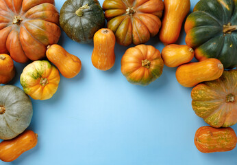 Set of different color pumpkins on blue background
