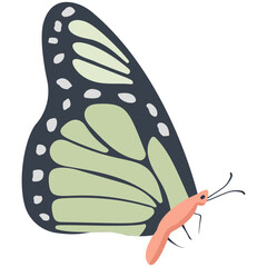 
Brown colored Swallowtail butterfly solid icon image
