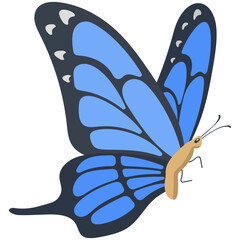 
Flat icon design of a butterfly
