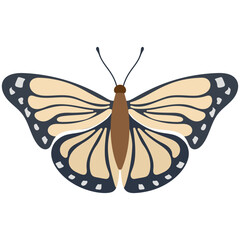 
A colored butterfly flat icon image
