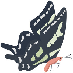 
Brown colored Swallowtail butterfly solid icon image
