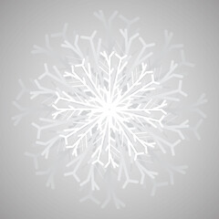 vector, isolated, background gray with white snowflake