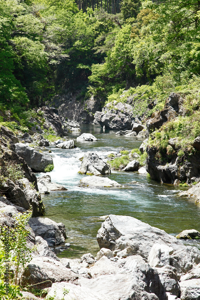 Poster 鳩ノ巣渓谷（多摩川）