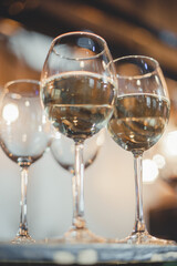 Glasses with white wine on counter prepared for guests.