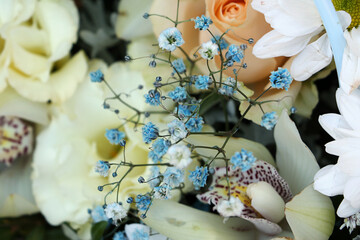 Close up photography of the bouquet from flowers.Composition from the different sorts.