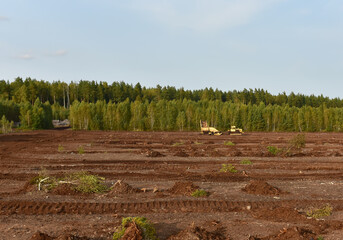 Destruction of trees on peatlands and drainage of peat bogs at extraction site. Development and...