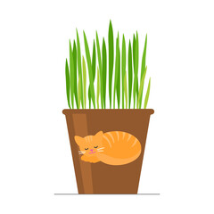 Grass in a flower pot for cats. Vector