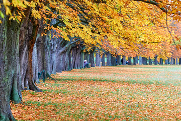 Stadtwald Koeln im Herbst, NRW, Germany