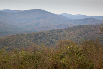 Fototapeta premium Mountain with fall leaves